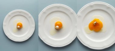 Çiğ yumurtalı natürmort fotoğraflarının kolajı ve pastel mavi arka planda beyaz bir tabakta altın bir yüzük. Asgari ve yaratıcı mücevher fotoğrafçılığı konsepti, üst görünüm