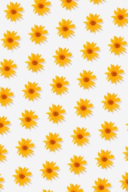 Beyaz arka planda rengarenk minimal çiçek deseni. Bahçeler, yaz çiçekleri ve sıcak, güneşli dekorasyonlar.