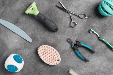 Gri beton arka planda hayvan bakımı, hijyen ve bakım aletleri. Farklı hayvan bakım aksesuarları, üst görünüm, kopyalama alanı