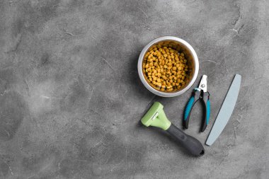 Gri beton arka planda hayvan bakımı, hijyen ve bakım aletleri. Farklı hayvan bakım aksesuarları, üst görünüm, kopyalama alanı