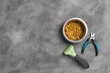 Gri beton arka planda hayvan bakımı, hijyen ve bakım aletleri. Farklı hayvan bakım aksesuarları, üst görünüm, kopyalama alanı