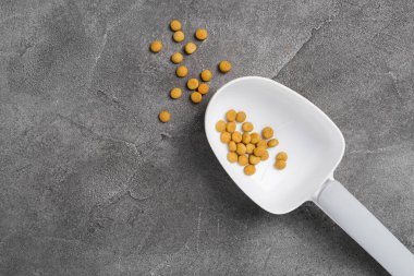 Beton arka planda kaşık kuru hayvan yiyeceği ölçüyorum. Hayvan bakımı konsepti. Üst görünüm, Spac kopyala