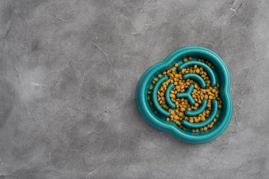Beton arka planda kuru yiyecekler olan evcil hayvan besleme kabı. Köpek yavaş besleniyor ve şişkinlik önleyici sağlıklı yeme alışkanlığını geliştiriyor. Üst görünüm, alanı kopyala