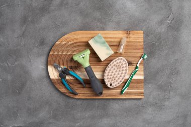 Gri beton arka planda hayvan bakımı, hijyen ve bakım aletleri. Farklı hayvan bakım aksesuarları, üst görünüm, kopyalama alanı