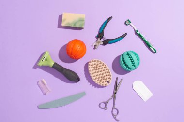 Pembe bir arka planda hayvan bakımı, hijyen ve bakım aletleri. Farklı hayvan bakım aksesuarları, üst görünüm, kopyalama alanı