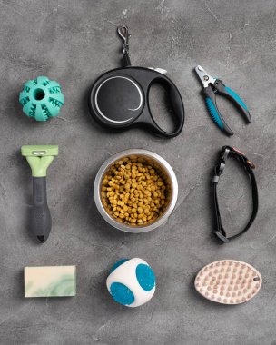 Farklı evcil hayvan bakım araçları, aksesuarlar ve gri beton arka planda kuru yiyecekler. Hayvan bakımı konsepti. Üst görünüm, alanı kopyala