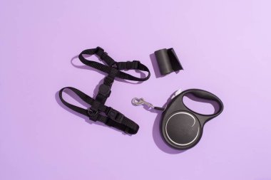 Güzel siyah köpek koşumu ve mor arka planda siyah geri çekilebilir tasma. Köpek için mühimmat, üst görünüm, kopyalama alanı