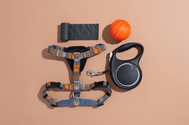 Güzel köpek koşumu, geri çekilebilir tasma ve bej arka planda kaka torbaları. Köpek için mühimmat ve aksesuarlar, üst görünüm, kopyalama alanı