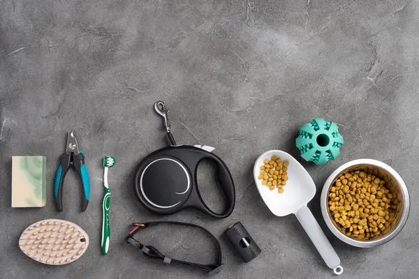 Farklı evcil hayvan bakım araçları, aksesuarlar ve gri beton arka planda kuru yiyecekler. Hayvan bakımı konsepti. Üst görünüm, alanı kopyala