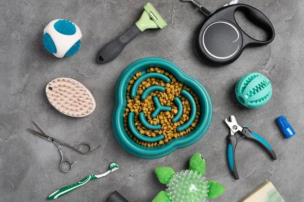 Farklı evcil hayvan bakım araçları, aksesuarlar ve gri beton arka planda kuru yiyecekler. Hayvan bakımı konsepti. Üst görünüm, alanı kopyala