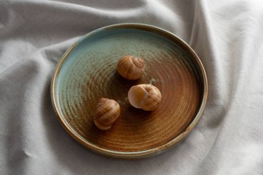 Yuvarlak plaka, bej rengi pamuk masa örtüsünün üzerinde sıcak renklerde bir kenarı var. Yumuşak renk paletinde doğal elementlerle minimalist kompozisyon. El yapımı ahenk konsepti, üst görünüm