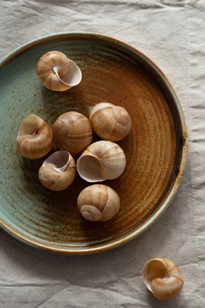 Yuvarlak plaka, bej rengi pamuk masa örtüsünün üzerinde sıcak renklerde bir kenarı var. Yumuşak renk paletinde doğal elementlerle minimalist kompozisyon. El yapımı ahenk konsepti, üst görünüm