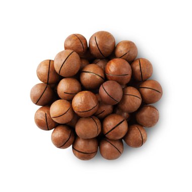 Beyaz arka planda izole edilmiş Macadamia fındıkları. Soyulmamış macadamia fındıklarının en üst görüntüsü