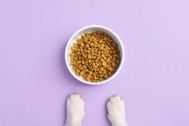 Beyaz bir evcil hayvan kasesi kuru mama ve açık mor arka planda iki şirin beyaz köpek pençesi, üst manzara. Minimalist köpek maması konsepti. Hayvan bakımı ya da veterinerlik teması için temiz bir düzen