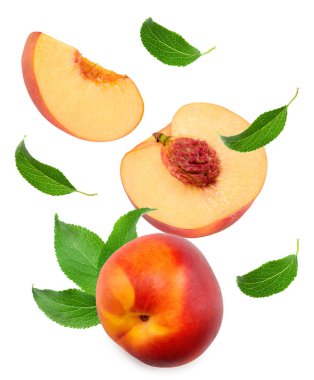 flying nectarine with green leaf and slices isolated on white background. clipping path