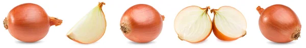 Onion Cut Onion Isolated White Background Clipping Path — Stock Photo, Image