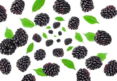 Yapraklı böğürtlen. Böğürtlen dokusu. Böğürtlen. kırpma yolu