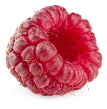 Beyaz arka planda izole edilmiş bir ahududu. Makro. kırpma yolu