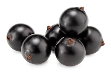 Beyaz arka planda siyah kuşüzümü izole edilmiş. Makro. kırpma yolu