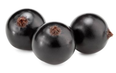 Beyaz arka planda siyah kuşüzümü izole edilmiş. Makro. kırpma yolu