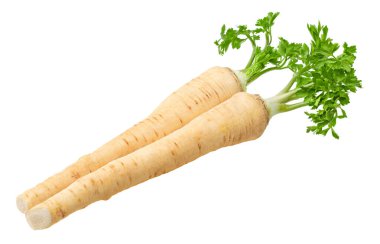 Beyaz arka planda izole edilmiş taze maydanoz kökü. kırpma yolu