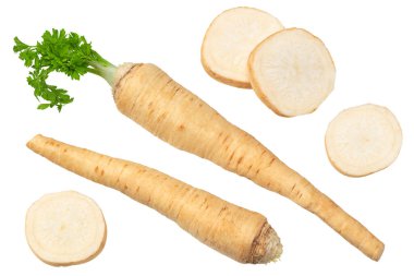 Beyaz arka planda izole edilmiş taze maydanoz kökü. kırpma yolu