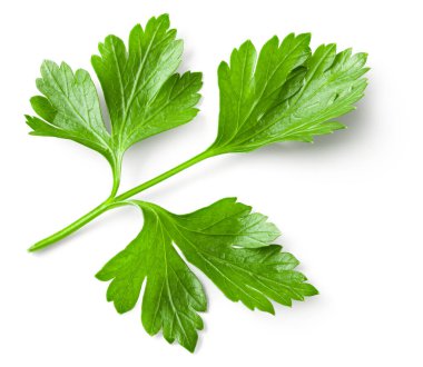 Beyaz bir arka plan üzerinde izole maydanoz. kırpma yolu