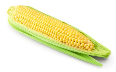 Beyaz arka planda izole edilmiş koçandaki taze mısır. kırpma yolu