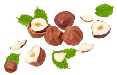 Yeşil yapraklı uçan fındıklar beyaz arka plan makrosu üzerinde izole edilmiş. kırpma yolu