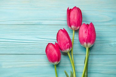Mavi ahşap zemin üzerinde pembe laleler