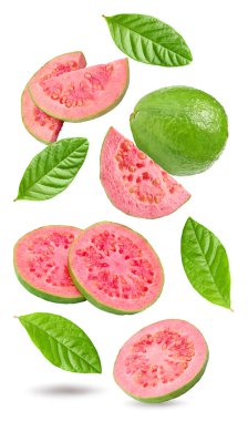 Beyaz arka planda izole edilmiş uçan bir guava. kırpma yolu