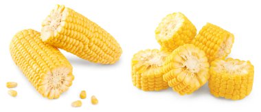 Beyaz arka planda izole edilmiş tohumlu mısır. kırpma yolu