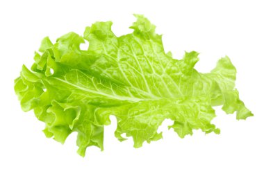 Salata yaprağı. Beyaz arka planda bir yeşil marul. kırpma yolu