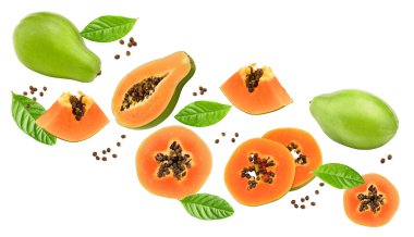 Beyaz arka planda izole edilmiş papaya meyveleri. Egzotik meyve. kırpma yolu