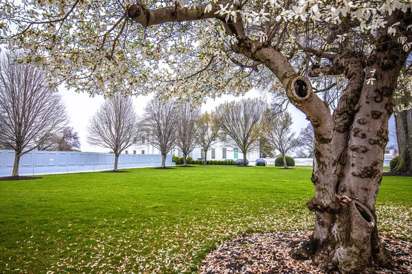 White House Front Garden Springtime View Washington Usa — Stock Photo, Image