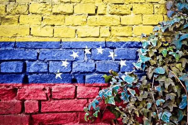 Venezuela Bandiera Grunge Sul Muro Mattoni Con Edera Pianta Concetto — Foto Stock