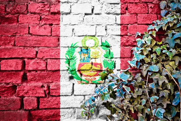 Перу Гранж Флаг Кирпичной Стене Плющом Завод Понятие Страны Символа — стоковое фото