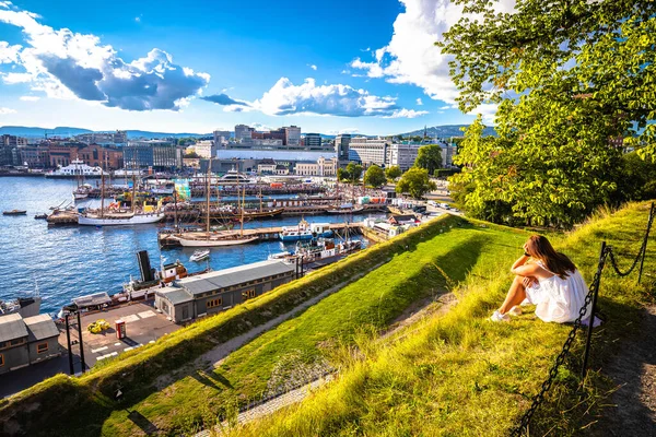 Scenic Satama Oslon Aker Brygge Näkymä Kukkulalta Pääkaupunki Norja — kuvapankkivalokuva