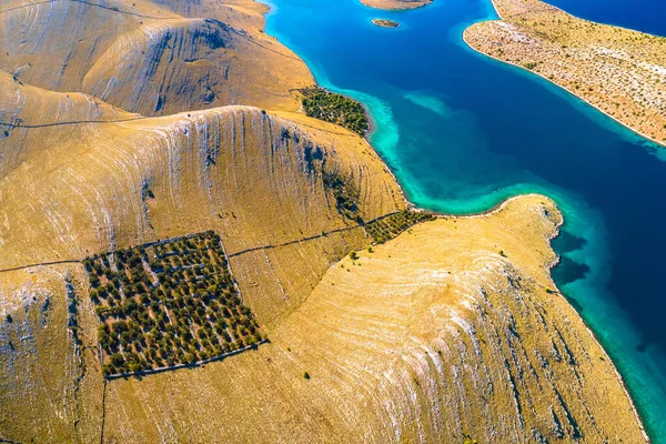 Nanılmaz Kornati Adaları Ulusal Park Taşı Çöl Manzarası Dalmaçya Manzarası — Stok fotoğraf