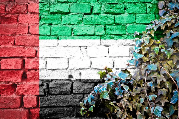 UAE grunge flag on brick wall with ivy plant, country symbol concept