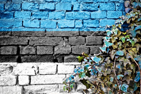 Estonia grunge flag on brick wall with ivy plant, country symbol concept
