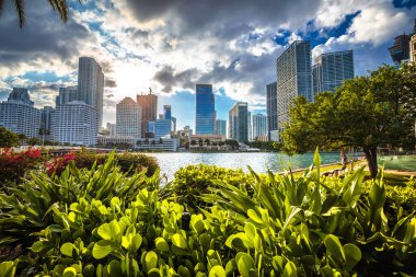 Miami waterfront sunset view from Brickell Key, Florida state of USA