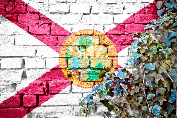 Florida grunge flag on brick wall with ivy plant, country symbol concept