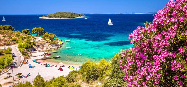 Idyllic Adriatic Beach Bilo Primosten View Archipelago Dalmatia Croácia — Fotografia de Stock