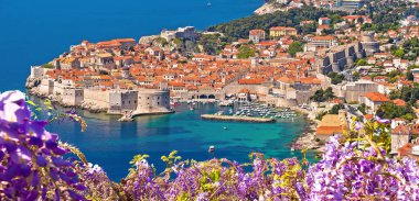 Historic town of Dubrovnik panoramic view through flowers , Dalmatia region of Croatia clipart