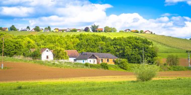 Kudüs tepeleri şarap bölgesi panoramik manzara, kuzey Slovenya