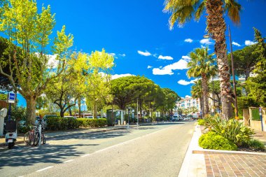 Town of Sainte Maxime palm street view, south of France riviera clipart