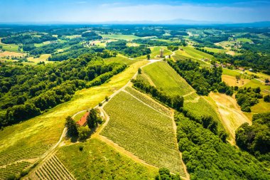 Teraslı üzüm bağı tepesi ve Madjerkin Breg hava manzarası, kuzey Hırvat bölgesinin Medjimurje bölgesi