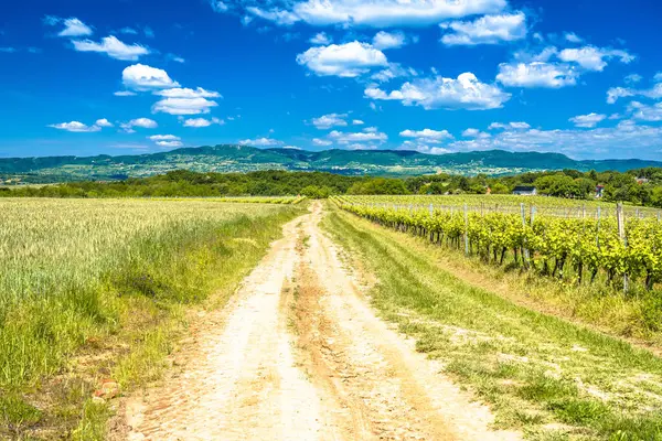 Prigorje, Kalnik dağı ve kuzey Hırvatistan 'ın tarım arazisinden geçen ülke yolu