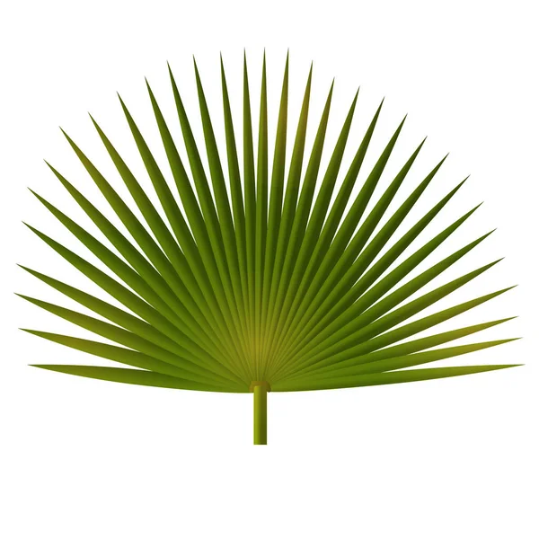 白い背景に熱帯ヤシの葉3Dスタイル 絶縁ベクトル素子 — ストックベクタ